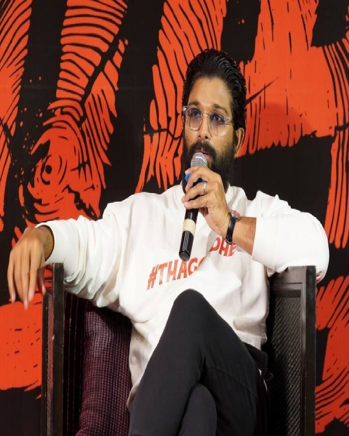 allu arjun_teluguvox_12